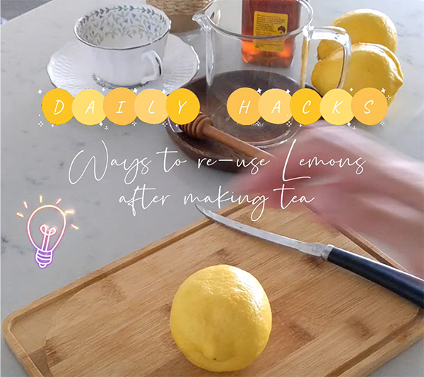 CONNECT Eco-hacks Contest